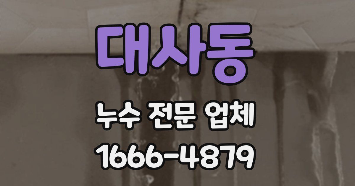 대사동 누수 전문 업체