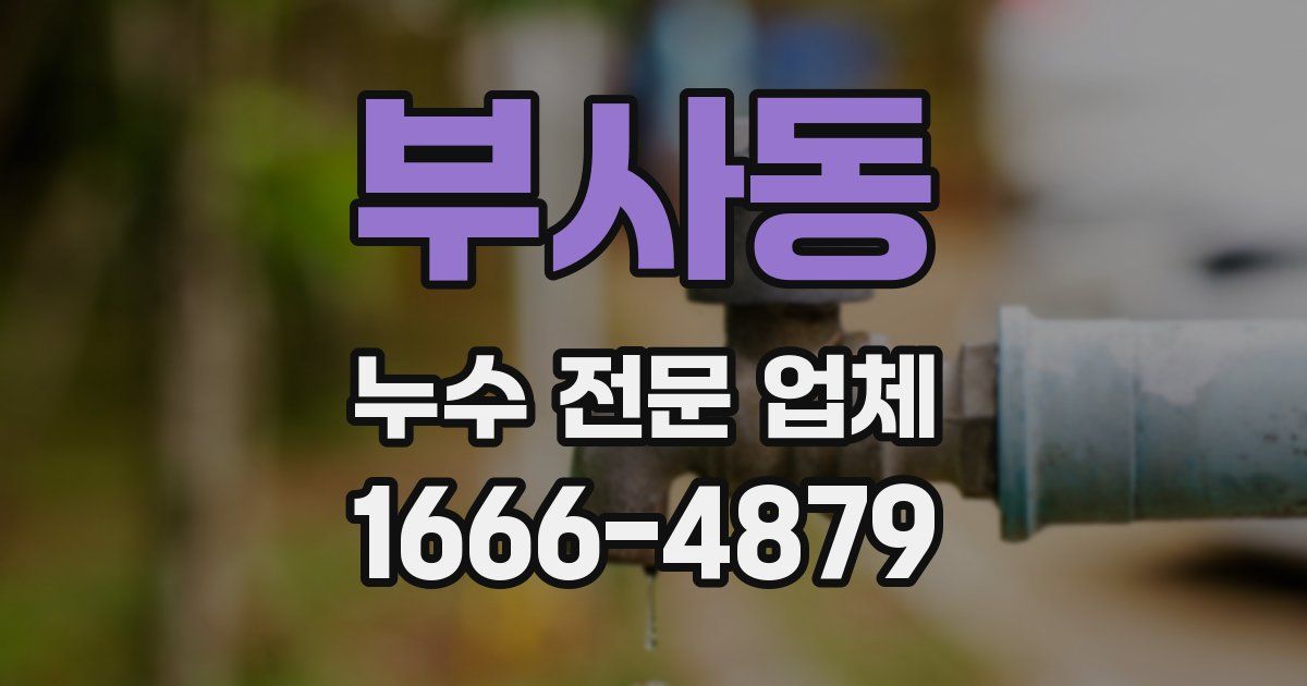부사동 누수 전문 업체