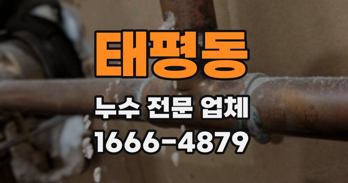태평동 누수 전문 업체