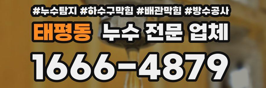 태평동 누수 전문 업체