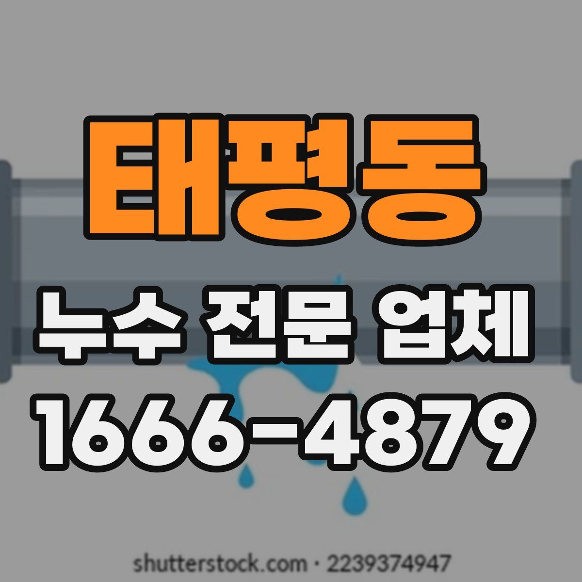 태평동 누수 전문 업체