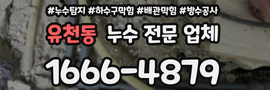 유천동 누수 전문 업체