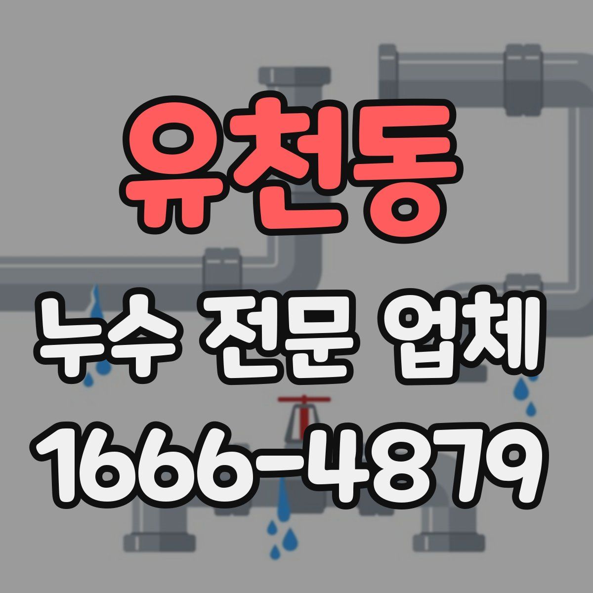 유천동 누수 전문 업체