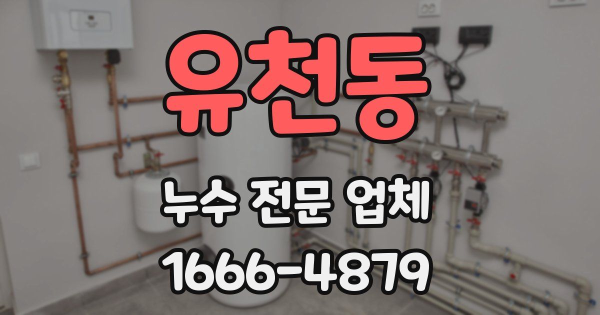 유천동 누수 전문 업체