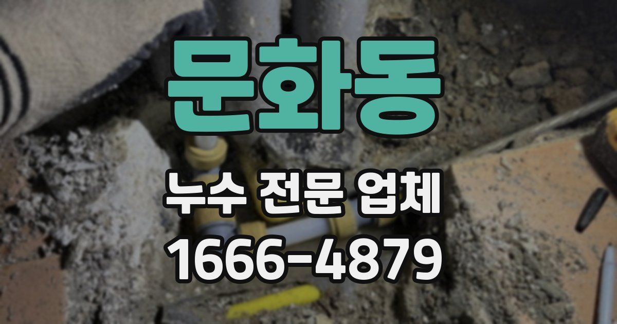 문화동 누수 전문 업체