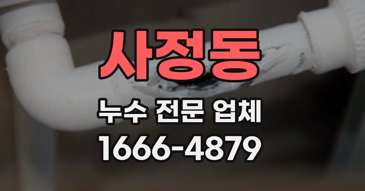 사정동 누수 전문 업체