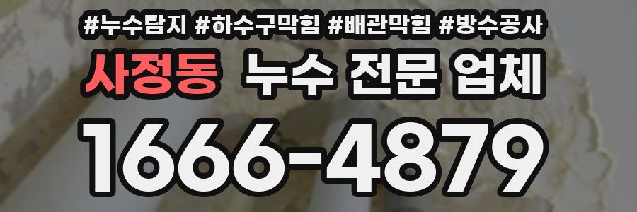 사정동 누수 전문 업체