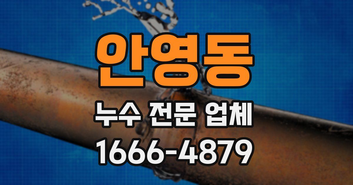 안영동 누수 전문 업체