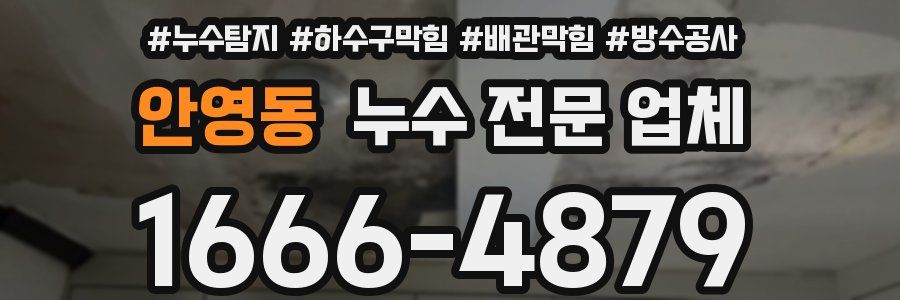 안영동 누수 전문 업체
