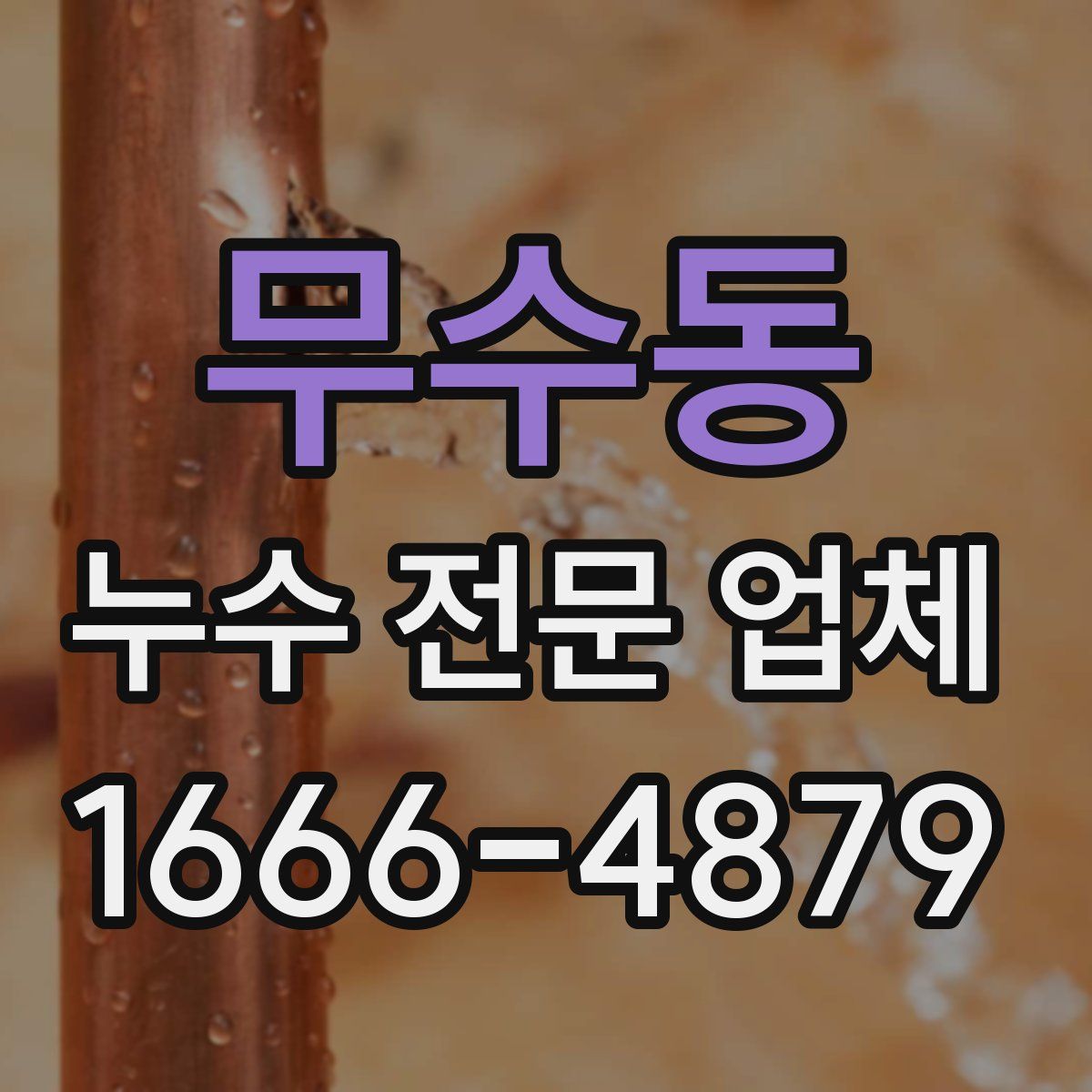 무수동 누수 전문 업체