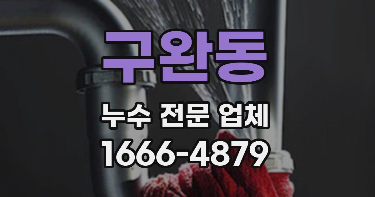 구완동 누수 전문 업체