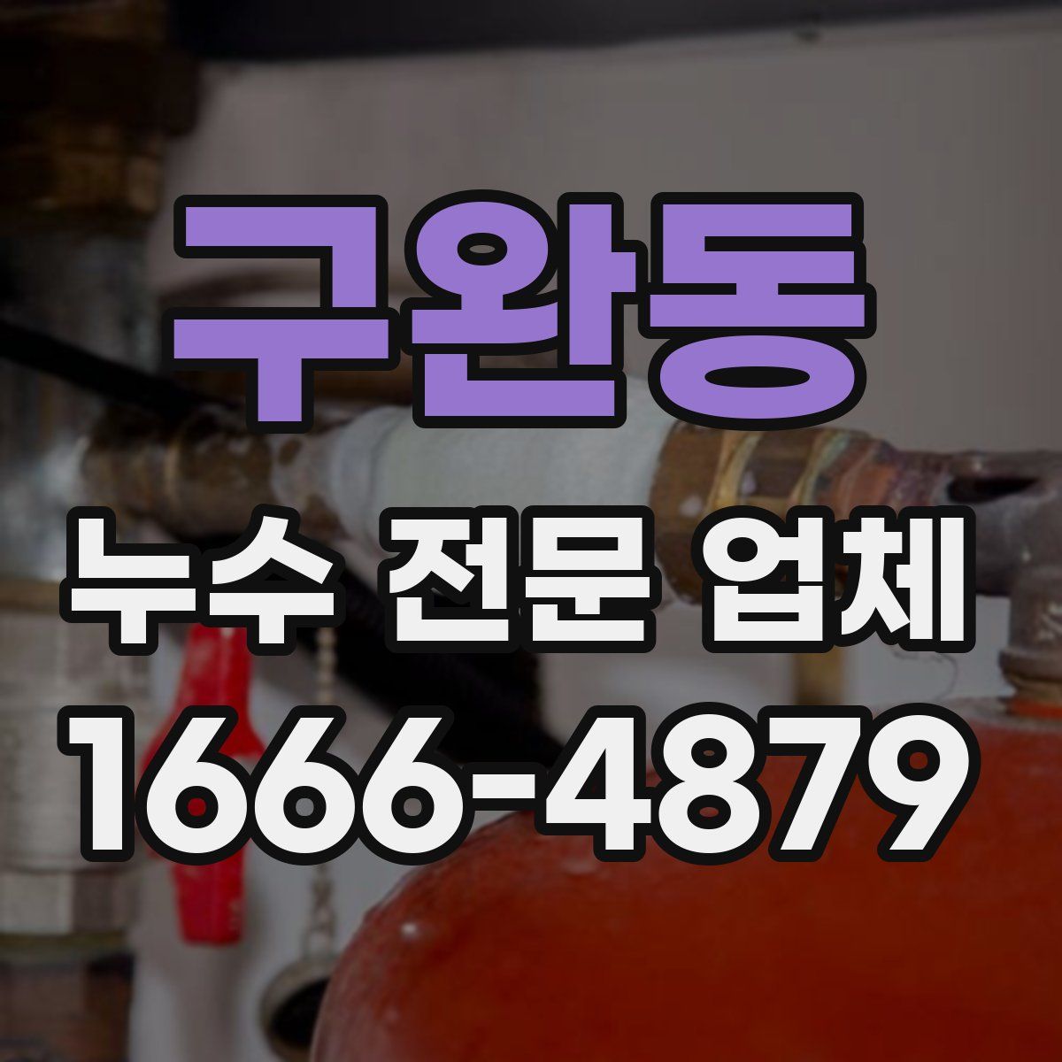 구완동 누수 전문 업체