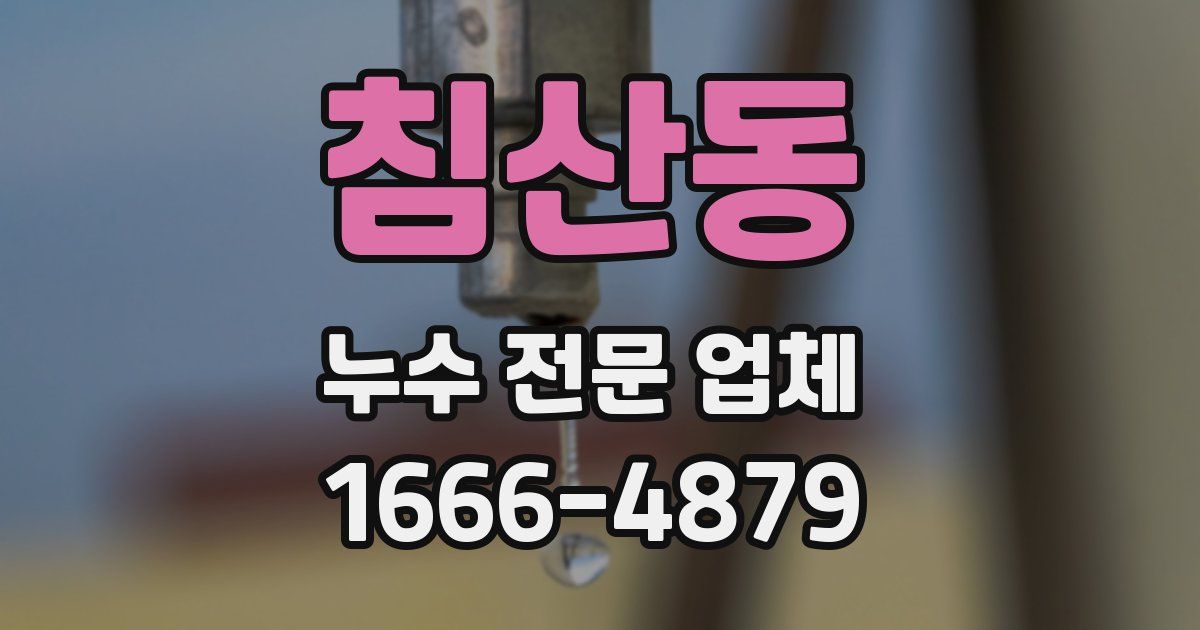 침산동 누수 전문 업체