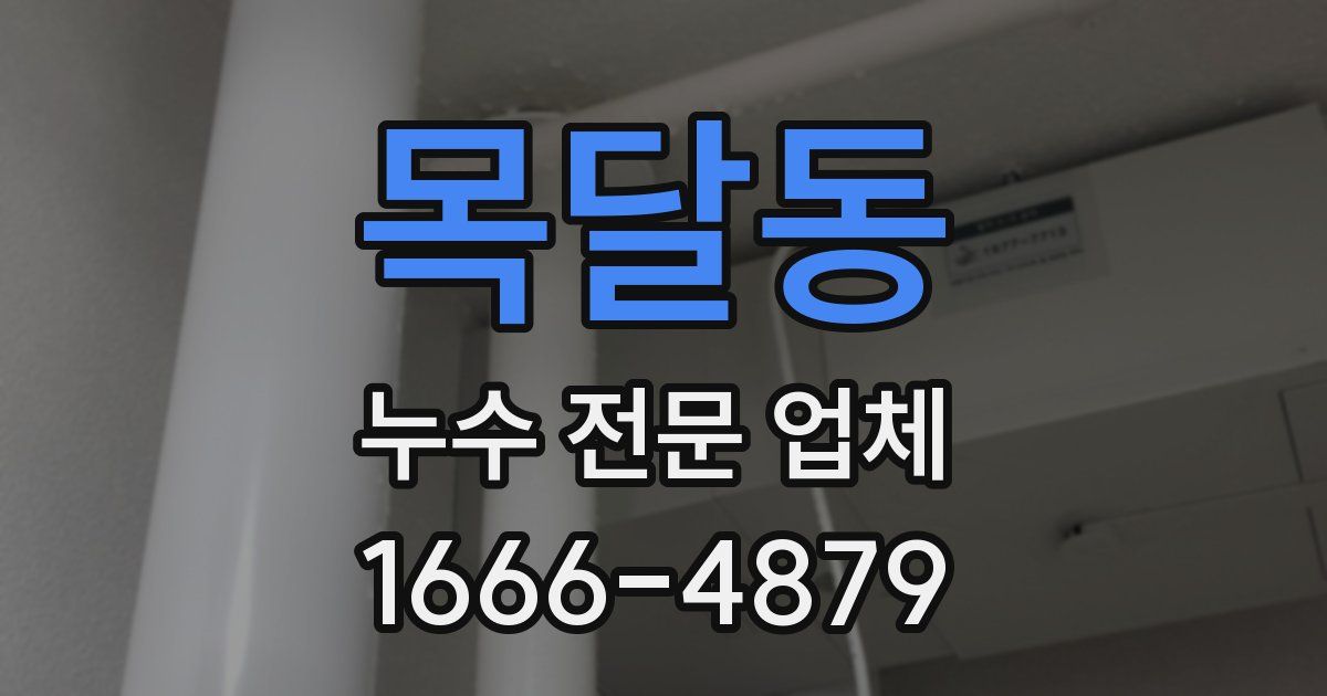 목달동 누수 전문 업체