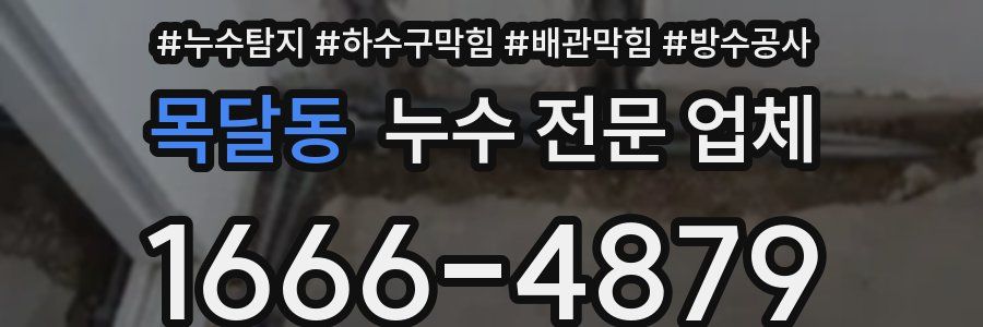 목달동 누수 전문 업체