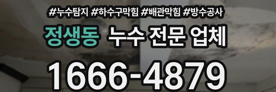 정생동 누수 전문 업체
