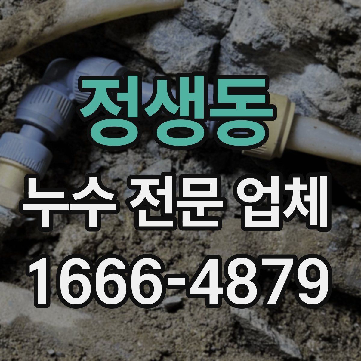 정생동 누수 전문 업체