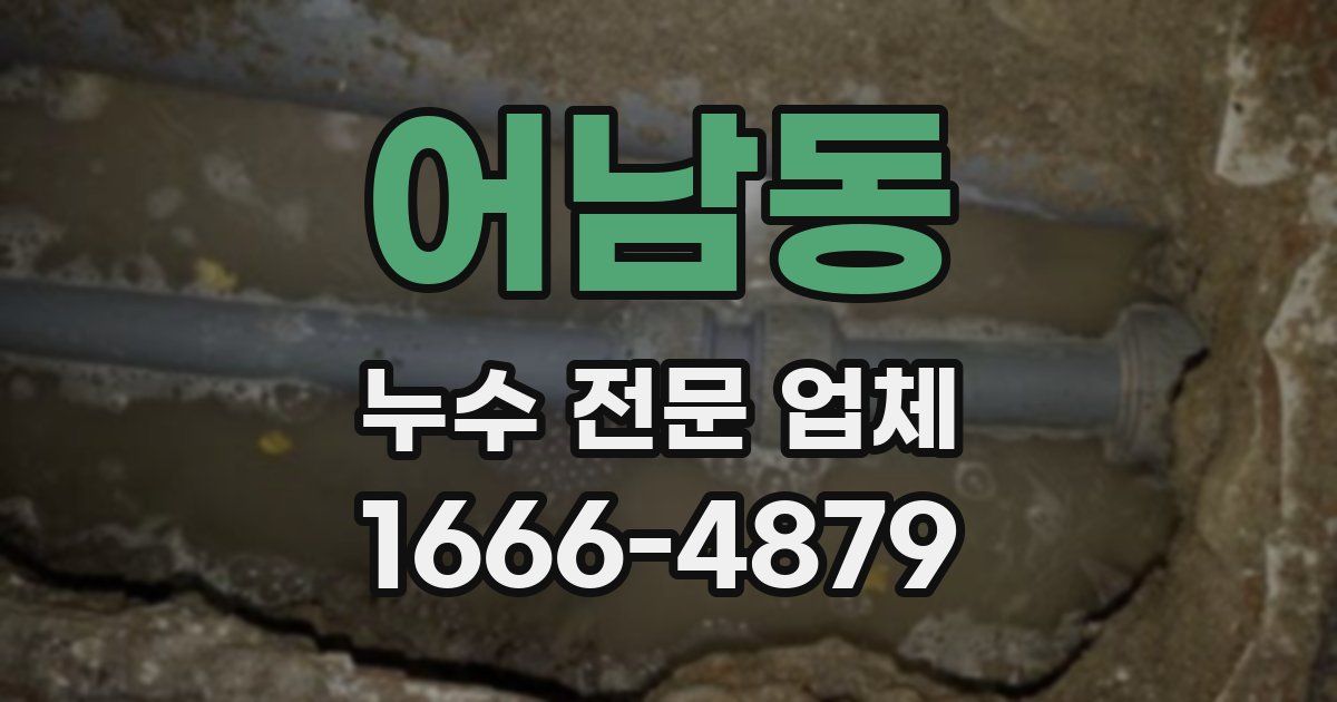 어남동 누수 전문 업체