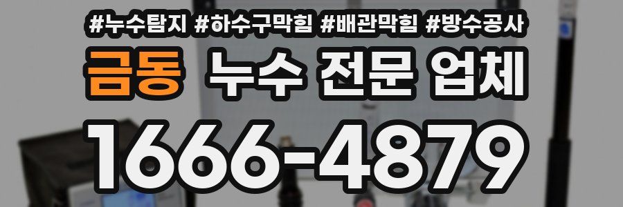 금동 누수 전문 업체