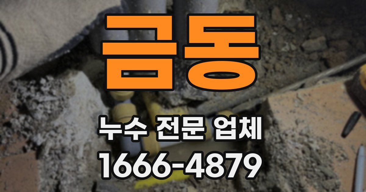 금동 누수 전문 업체