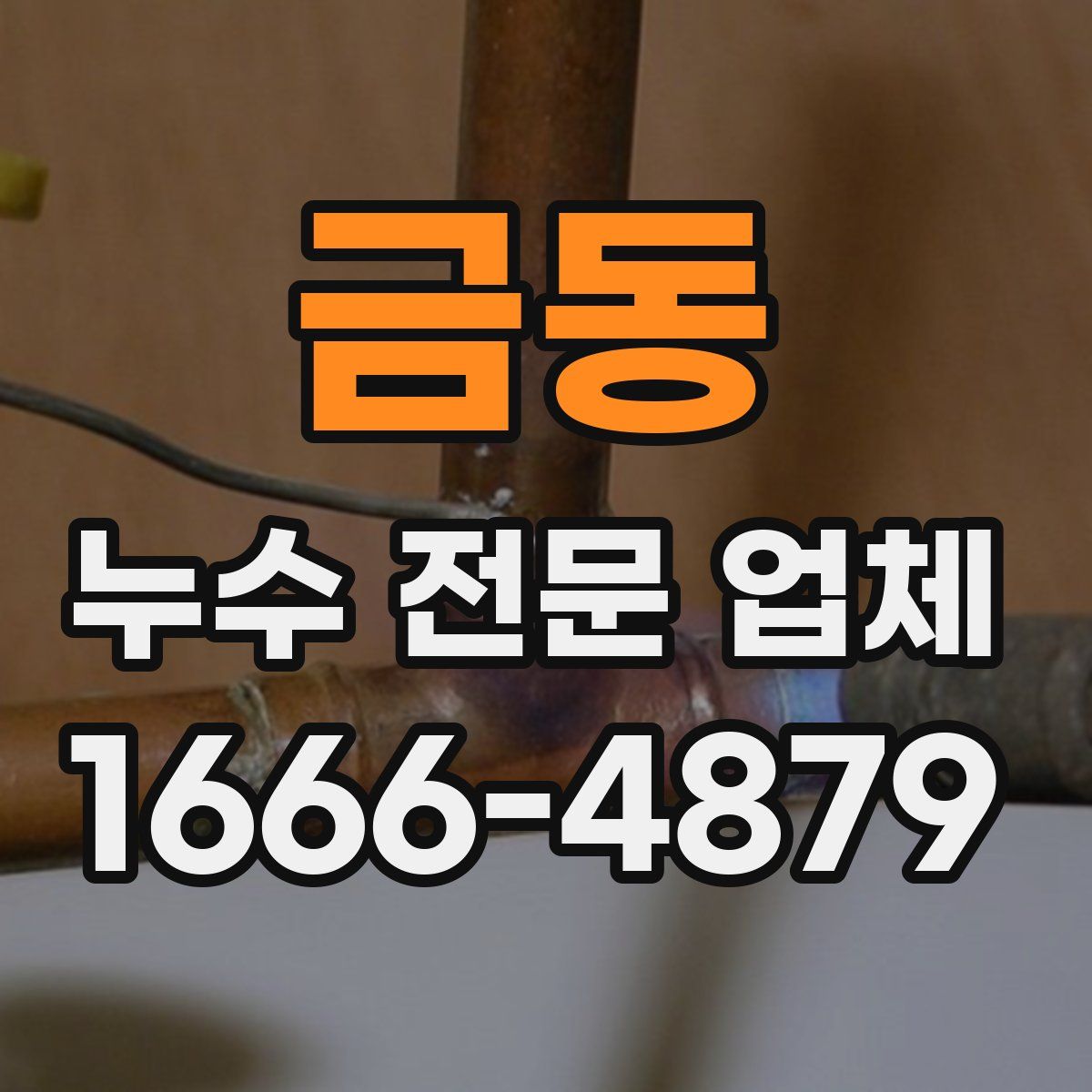 금동 누수 전문 업체