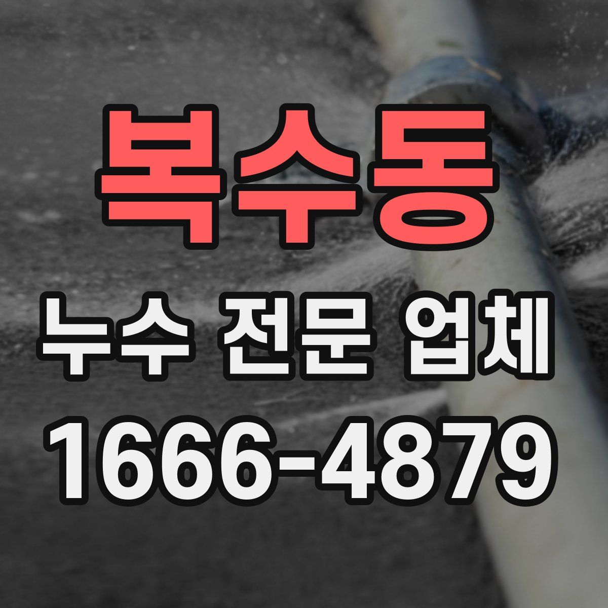 복수동 누수 전문 업체