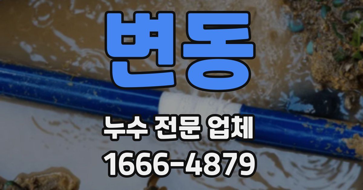 변동 누수 전문 업체