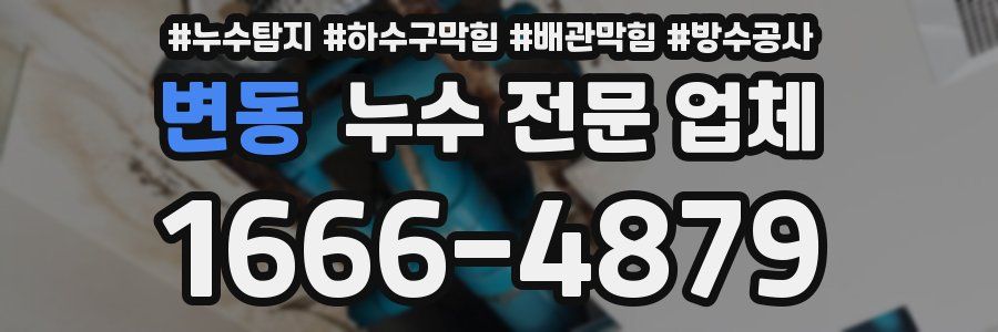 변동 누수 전문 업체