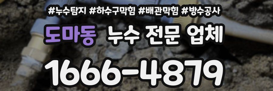 도마동 누수 전문 업체