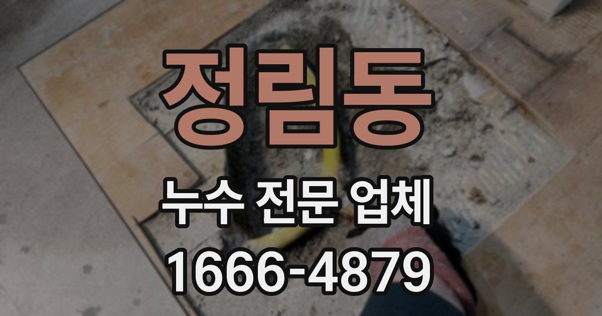 정림동 누수 전문 업체