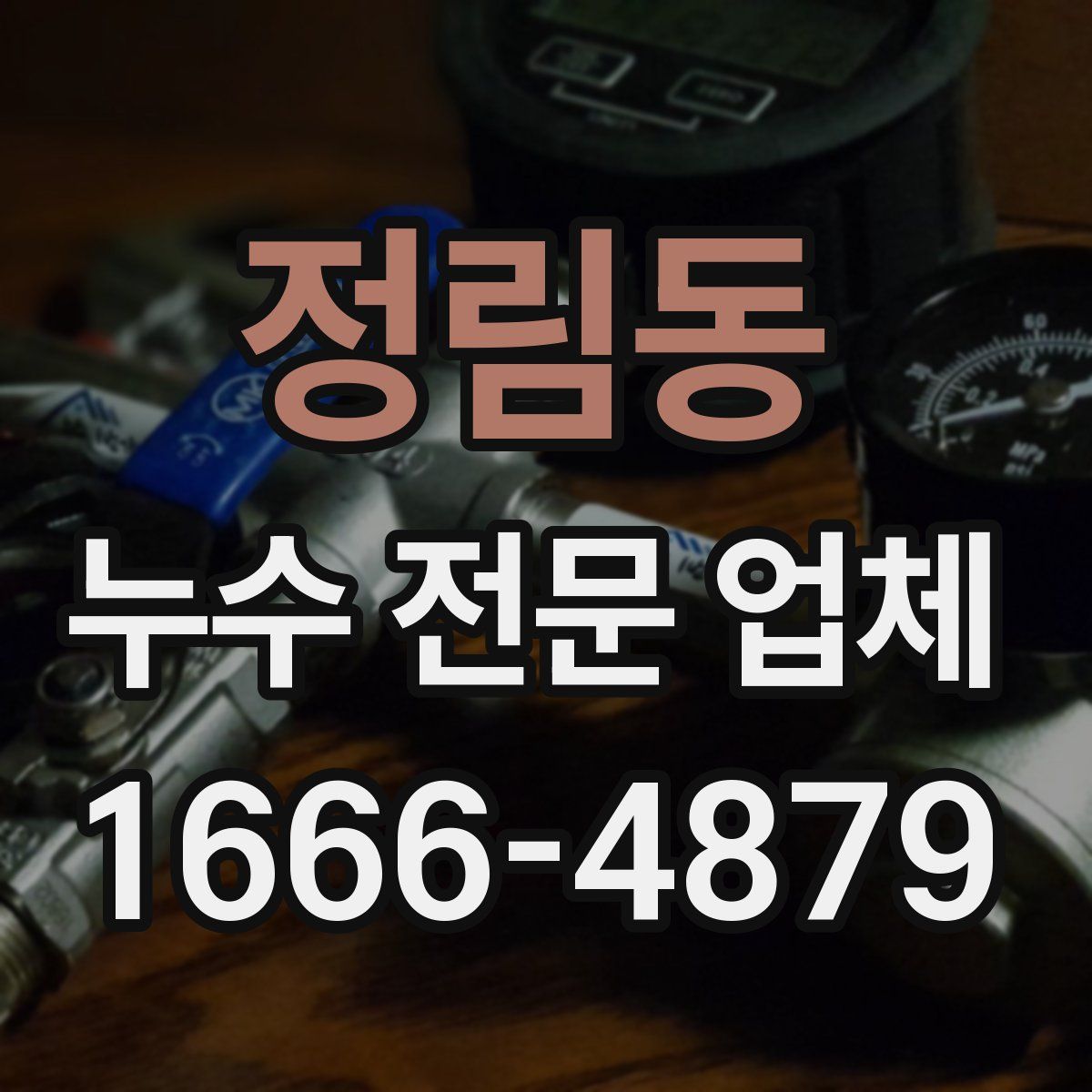 정림동 누수 전문 업체