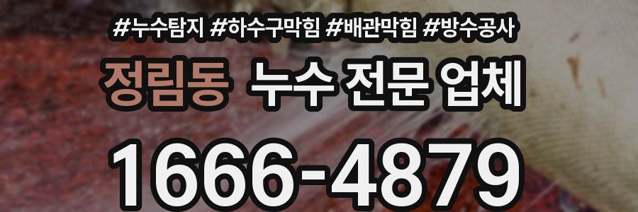 정림동 누수 전문 업체