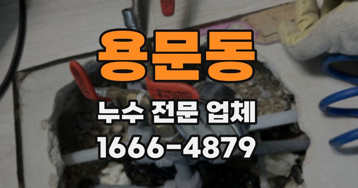 용문동 누수 전문 업체