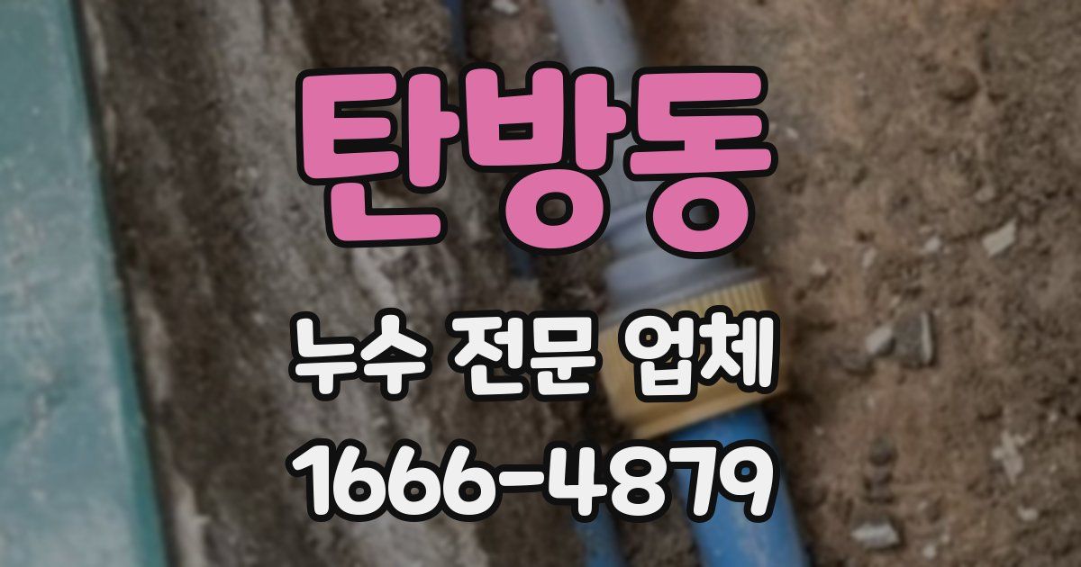 탄방동 누수 전문 업체