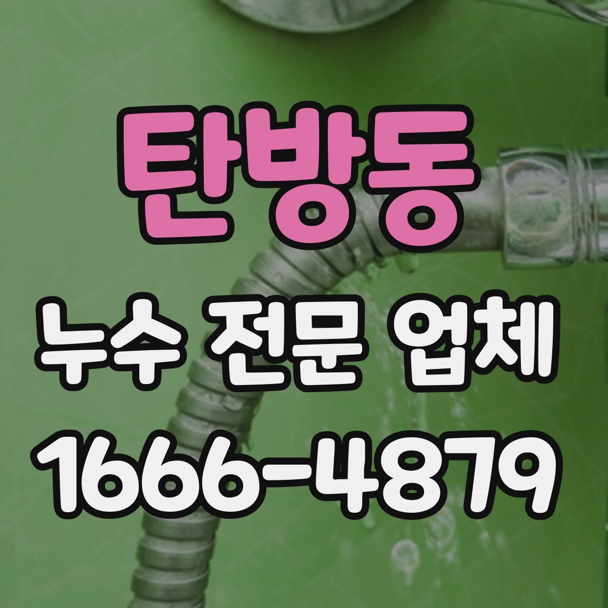 탄방동 누수 전문 업체