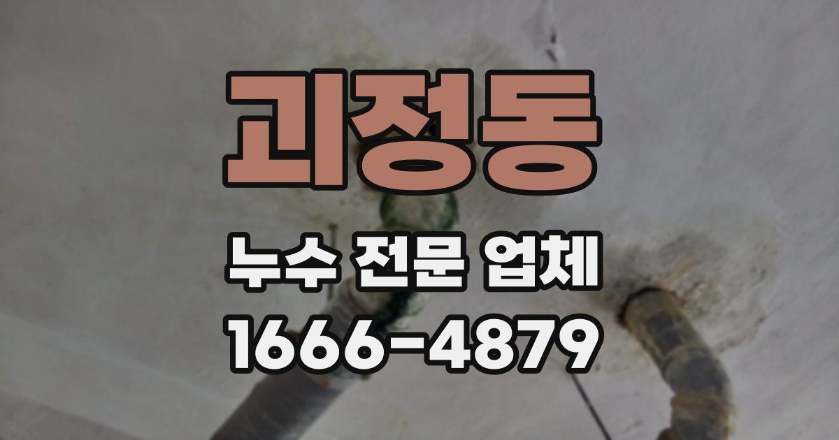 괴정동 누수 전문 업체