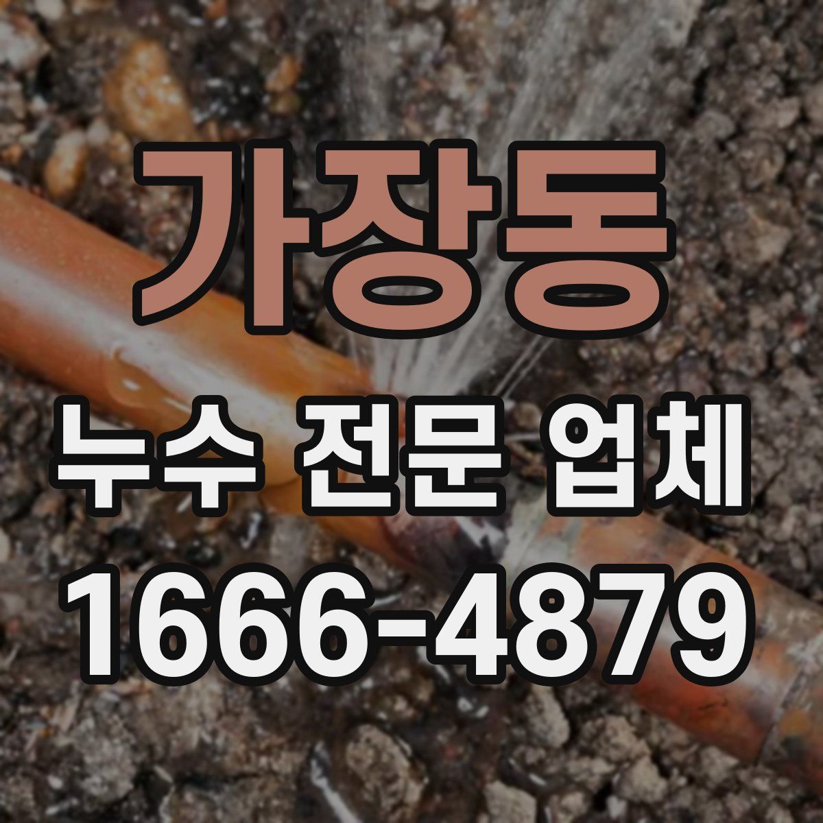 가장동 누수 전문 업체