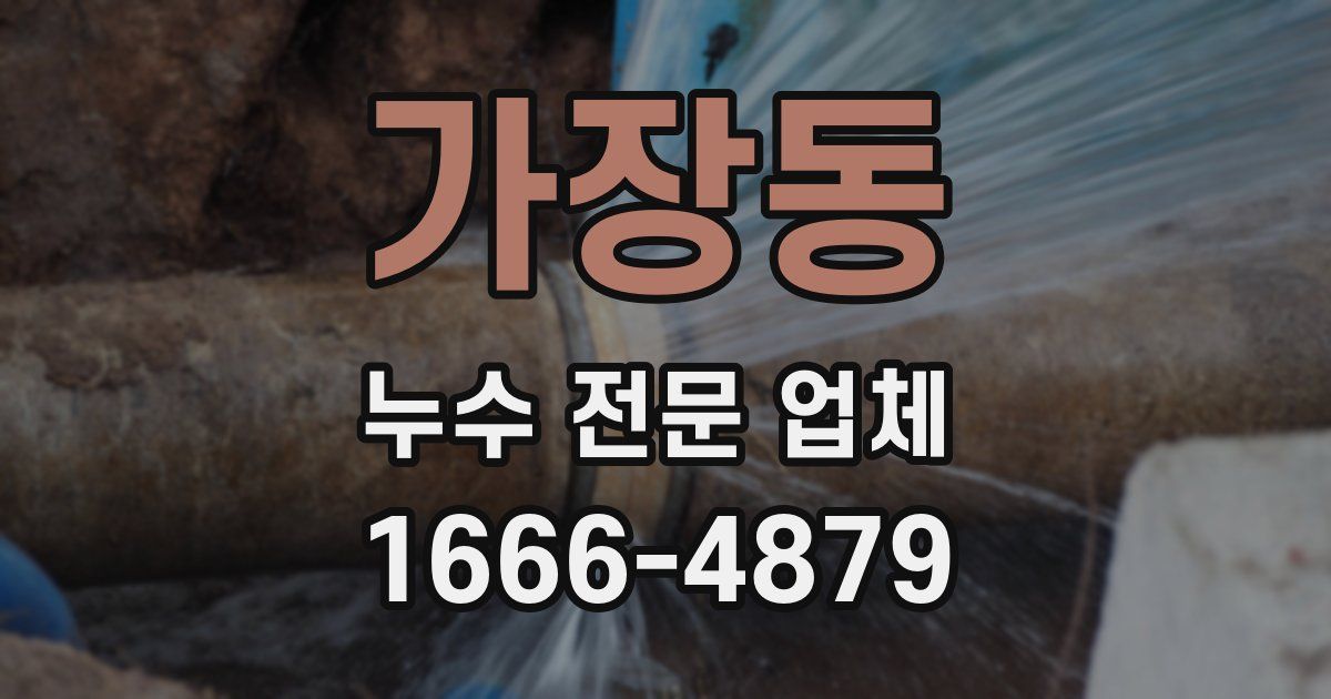 가장동 누수 전문 업체