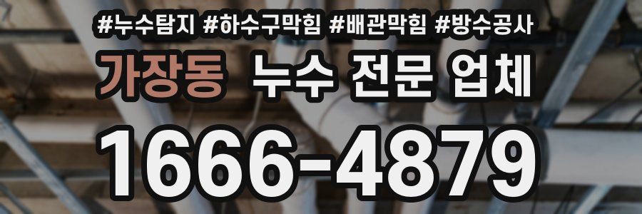 가장동 누수 전문 업체