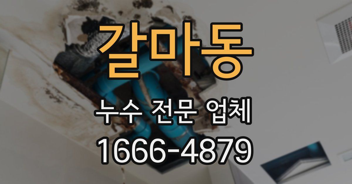 갈마동 누수 전문 업체