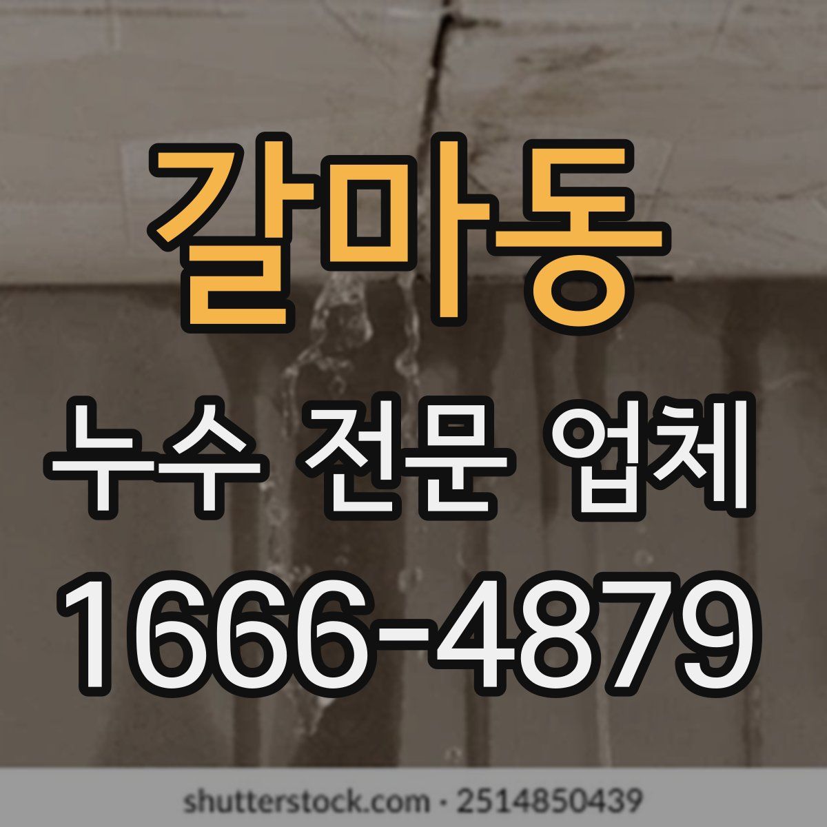 갈마동 누수 전문 업체