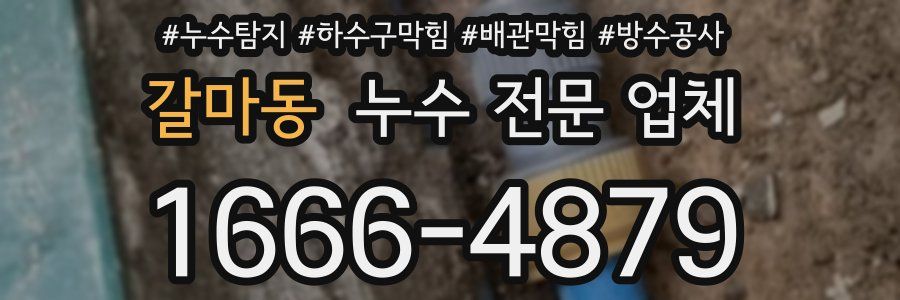 갈마동 누수 전문 업체