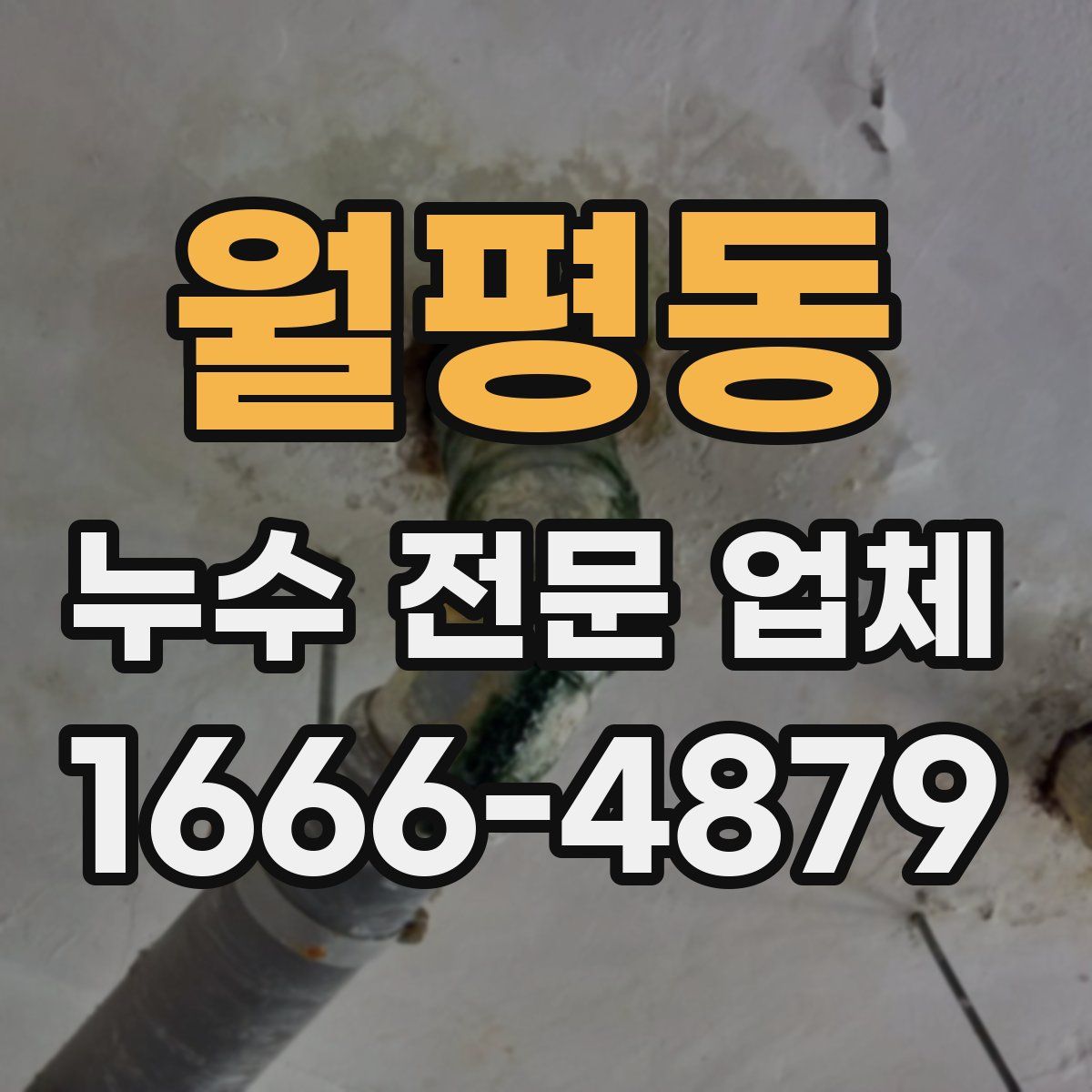 월평동 누수 전문 업체