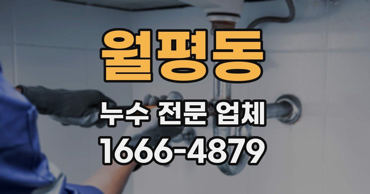 월평동 누수 전문 업체