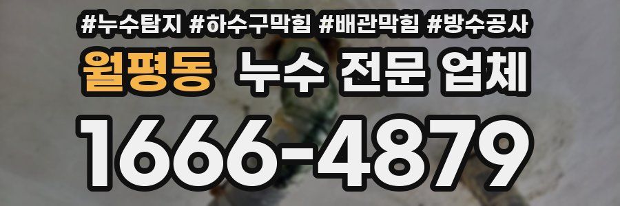 월평동 누수 전문 업체