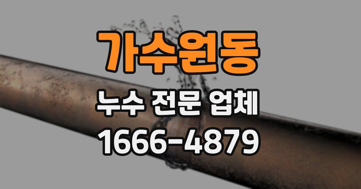 가수원동 누수 전문 업체