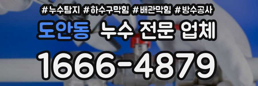 도안동 누수 전문 업체