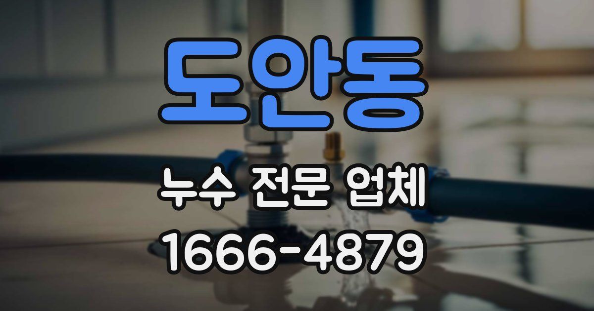 도안동 누수 전문 업체