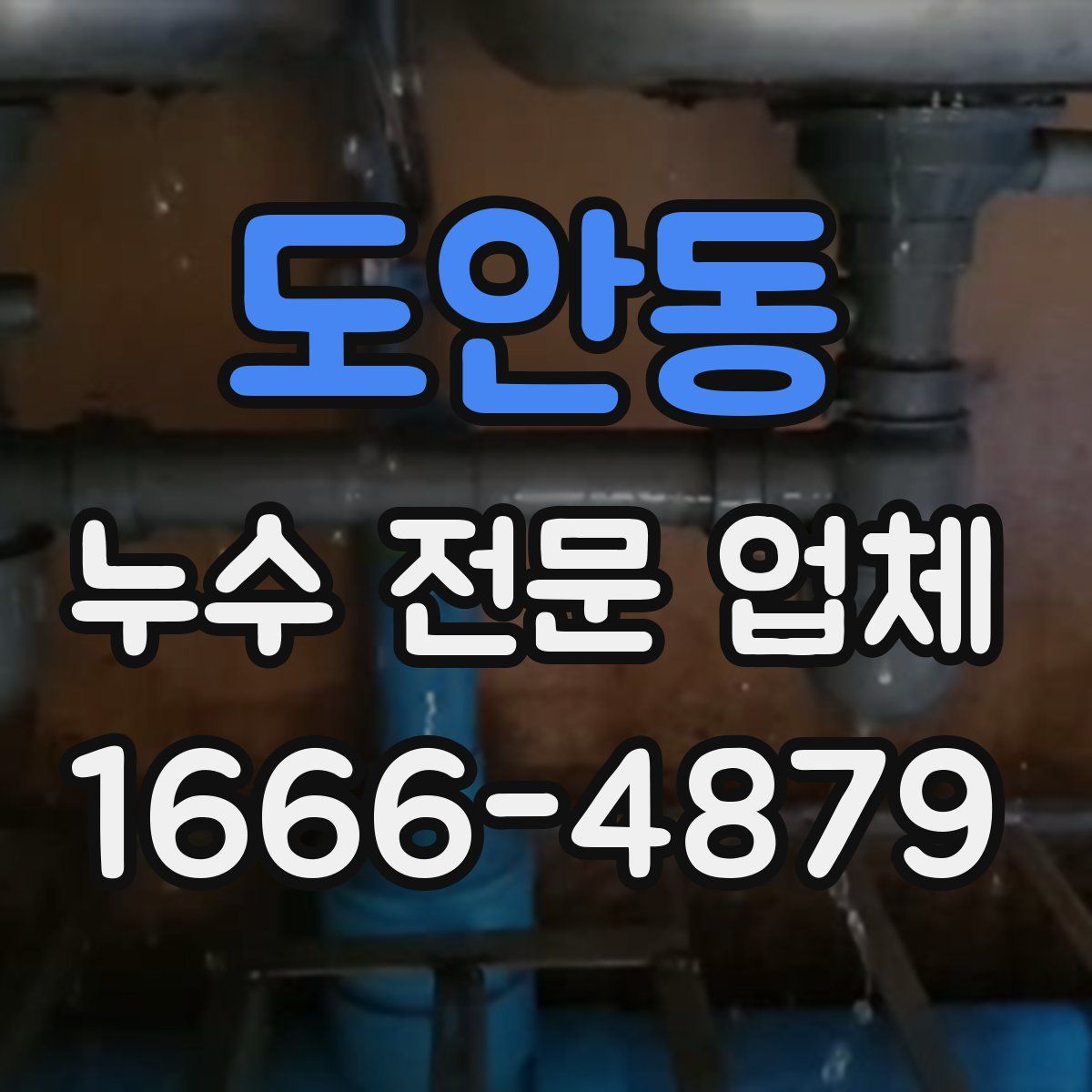 도안동 누수 전문 업체