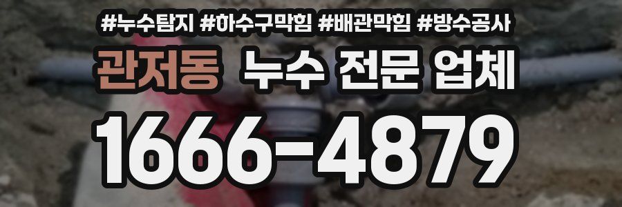 관저동 누수 전문 업체